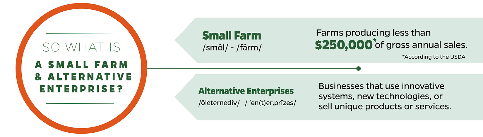 So what is a small farm and alternative enterprise? Small farm - a farm producing less than $250,000 in annual sales. Alternative Enterprise - business that uses innovative systems, new technology, or sells a unique product or service.