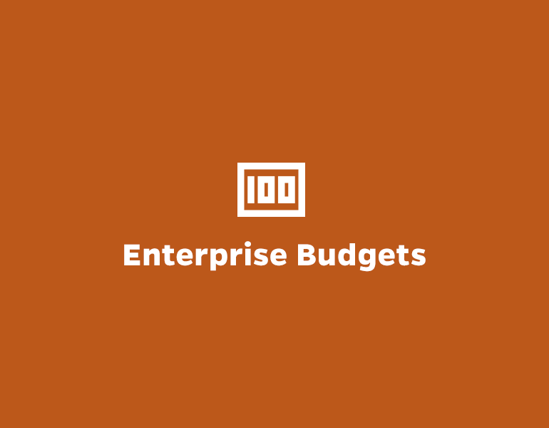Enterprise Budgets